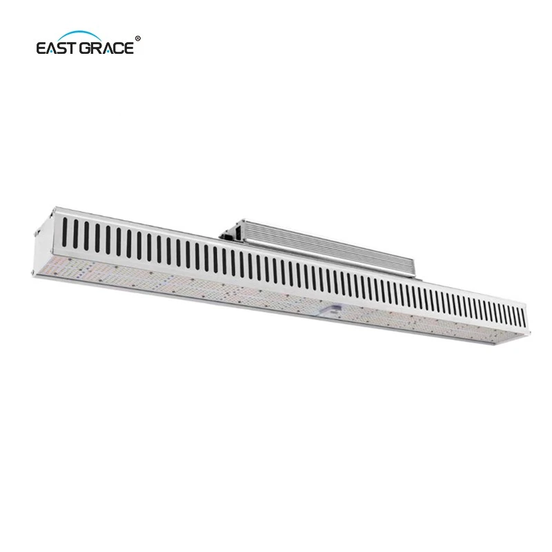 LED900W (3)